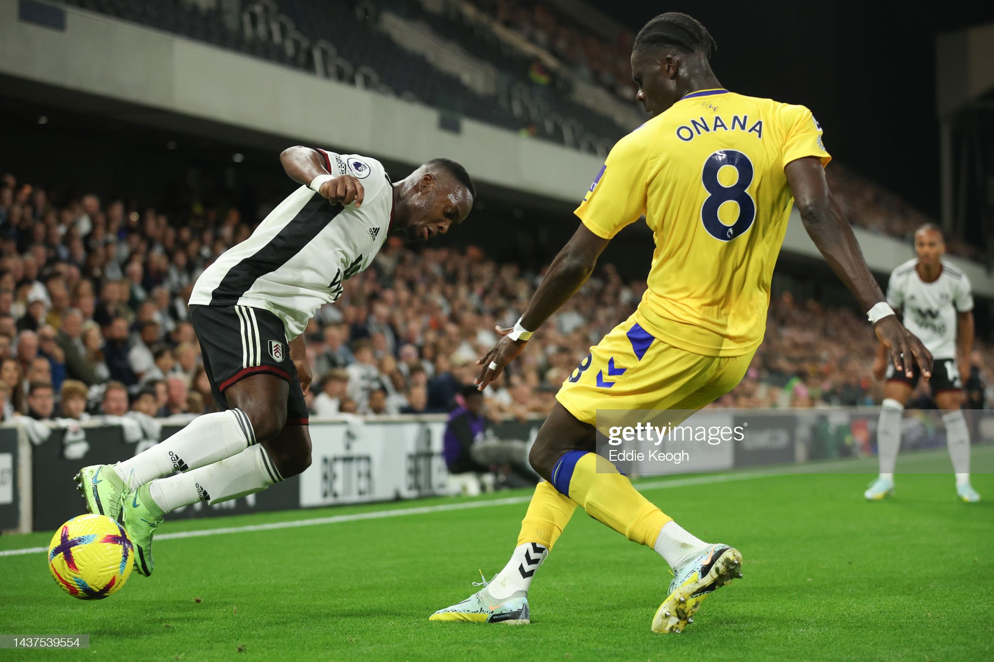 Fulham FC v Everton FC - Premier League