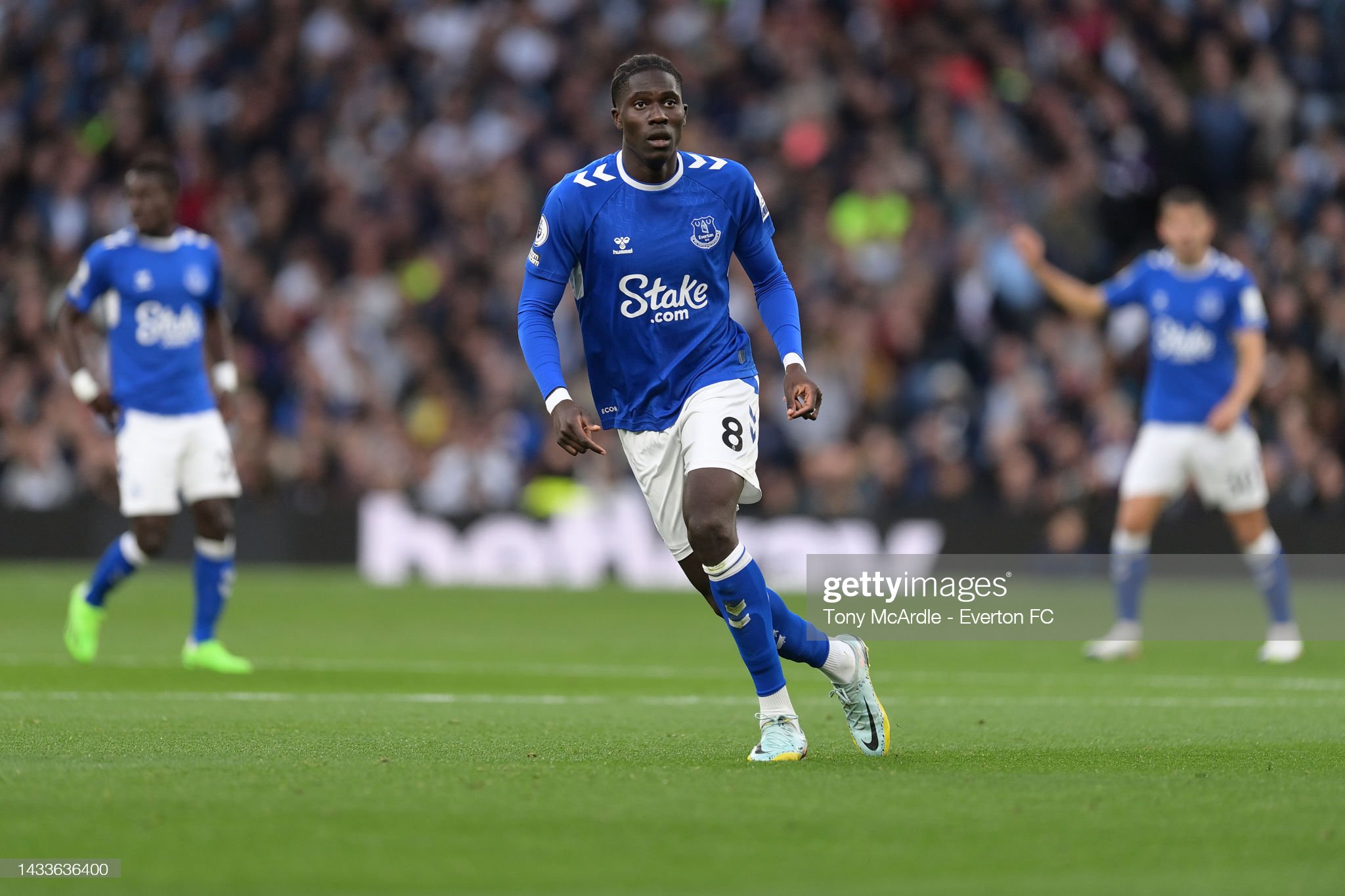 Tottenham Hotspur v Everton FC - Premier League