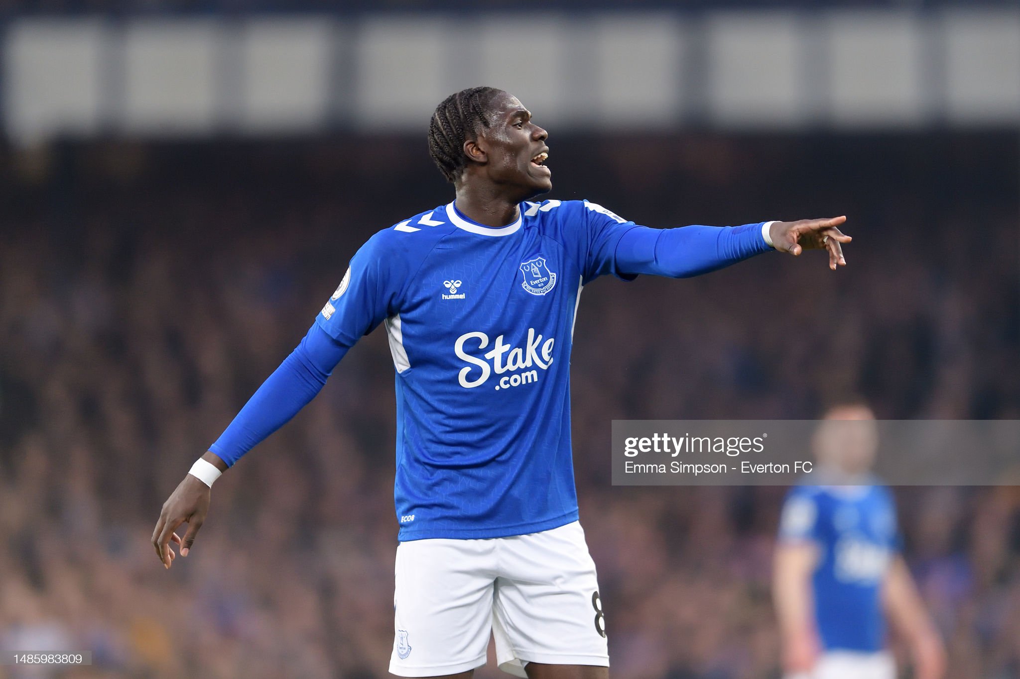 Everton FC v Newcastle United - Premier League